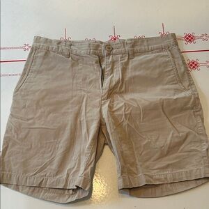Patagonia Men's Beige Flat Front Shorts